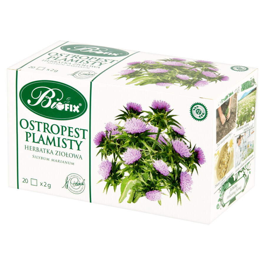 Bi Fix Thistle, ceai de plante, 2 g x 20 pliculețe