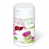 GAL Silymarin Forte Gal, 60 gélules