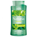 Joanna Naturia, hair shampoo with nettle and green tea, 500 ml