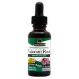 Nature's Answer, Rădăcină de valeriană, valeriană, 30 ml