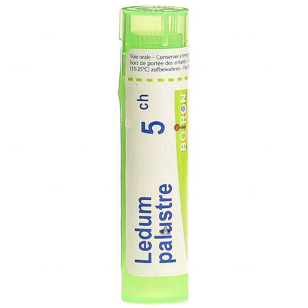 Boiron Ledum palustre 5 CH, granulés, 4 g