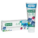 Sunstar Gum Junior, pastă de dinți, de la vârsta de 6 ani, 50 ml