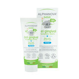 Alphanova Bebe, gel organic calmant pentru dentiție, 20 ml