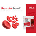 Mito-Pharma Homocisteină Intercell, 90 capsule