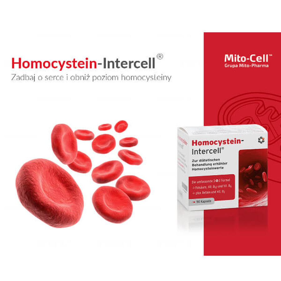 Mito-Pharma Homocisteină Intercell, 90 capsule