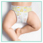 Pampers Premium Care, pañales talla 2, 4-8 kg, 240 piezas