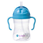 B.Box, fles met rietje, bosbes, vanaf 6 maanden, 240 ml