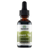 Swanson Estratto liquido di tè verde, tè verde, 29,6 ml