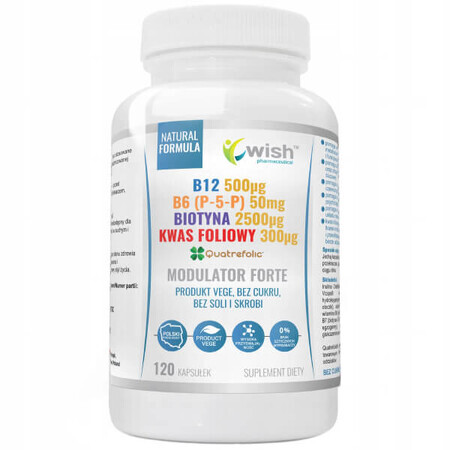 Wish B12 + B6 (P-5-P) + Biotină + Acid folic Modulator Forte, 120 capsule