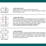 Pylori-Screen, test rapid pentru detectarea anticorpilor împotriva Helicobacter pylori, 1 buc