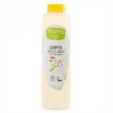 Ekos, șampon pentru păr gras, cu extract organic de yarrow, Eco Bio, 500 ml