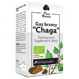 Gift of Nature Chaga Tumoare de mesteacăn, 60 capsule