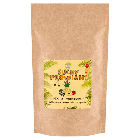 Helpa Dry Powder, freeze-dried fruit pieces, strawberries, pineapple, black currants, cherries, 10 g