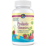 Nordic Naturals, Probiotic Gummies KIDS, Gummibärchen für Kinder ab 2 Jahren, 60 Stück