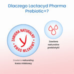 Lactacyd Pharma Prebiotic+, loțiune probiotică pentru igiena intimă, 250 ml