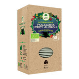 Dary Natury Recomandat ceai pentru alergii, organic, 2 g x 25 pliculețe