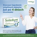 Soledum forte 200 mg, 20 gastro-resistant capsules