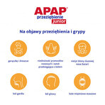 Apap Przeziębienie Junior 300 mg + 20 mg + 5 mg, poudre pour solution orale, 6 sachets