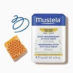 Mustela Bebe Enfant, beschermende stick met koude crème, vanaf de geboorte, 9,2 g