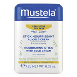 Mustela Bebe Enfant, stick de protecție cu Cold Cream, de la naștere, 9.2 g