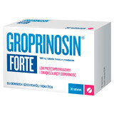 Groprinosin Forte 1000 mg, 30 tablets