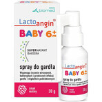 Lactoangin Baby, throat spray, raspberry flavor, over 6 months, 30 g