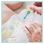 Pampers Premium Care, scutece mărimea 5, 11-16 kg, 88 bucăți AMBALAJ DEFECTAT