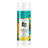 AA Bio Tropical, deodorant stick, ananas și salvie, 25 ml