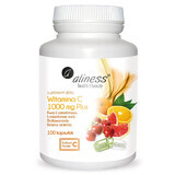 Aliness Vitamina C 1000 mg Plus, 100 capsule vegetale