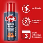 Alpecin Caffeine, shampooing C1, 250 ml