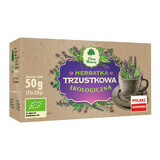 Dary Natury Pancreatic Tea, organic, 2 g x 25 plicuri