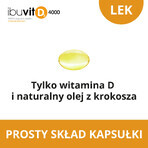 Ibuvit D3 4000 IU, 90 gélules