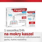 Flegamax Forte 2,7 g, 6 sobres