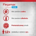 Flegamax Forte 2,7 g, 6 sobres