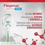 Flegamax Forte 2,7 g, 6 sobres