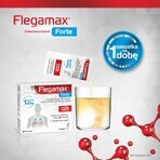 Flegamax Forte 2,7 g, 6 sobres