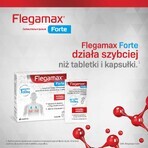 Flegamax Forte 2,7 g, 6 sobres