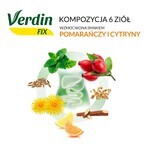 Verdin Fix cu citrice, 20 pliculețe