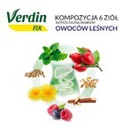 Verdin Fix cu fructe de pădure, 20 pliculețe