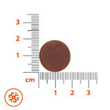 SEMA Lab Orthoplasma + Salbei, 24 Lutschtabletten