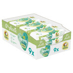 Pampers Harmonie Coco, șervețele umede, 9 x 42 buc