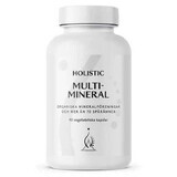 Holistic MultiMineral, 90 capsule