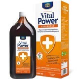 Kruger Vital Power Inmunidad, líquido, 1000 ml