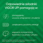 Vigor Up, 60 tabletten