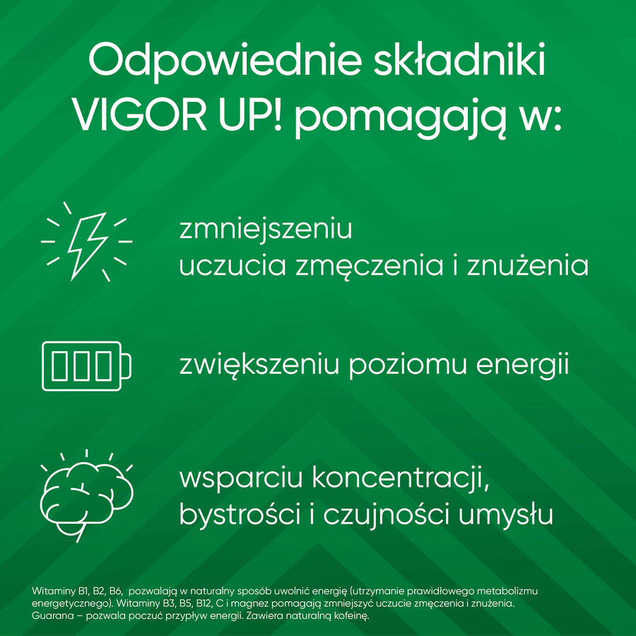 Vigor Up, 60 tabletten