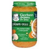 Gerber Organic Plant-Tastic, delicate curry with vegetables, after 12 months, 250 g