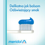 Meridol Complete Care, pastă de dinți, gingii și dinți sensibili, 75 ml