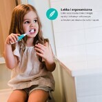 Bbluv Sonik, puntas de cepillo de dientes sónicas para niños, 18-36 meses, 2 piezas