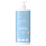 Eveline Cosmetics My Life My Hair, moisturizing smoothing shampoo for dry, damaged and dehydrated hair, 500 ml