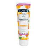 Coslys, shampoo per capelli secchi e danneggiati, olio di semi di mirabelle, 250 ml